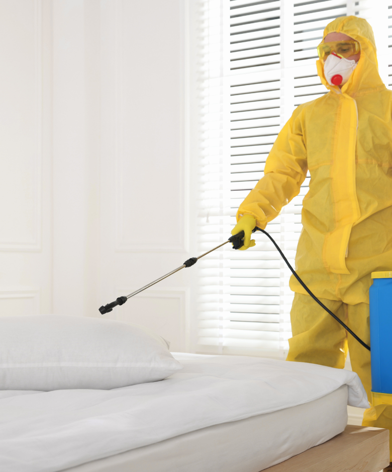 Professional Pest Control Team in Angle Vale